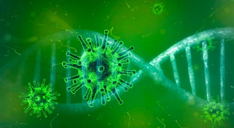 coronavirus