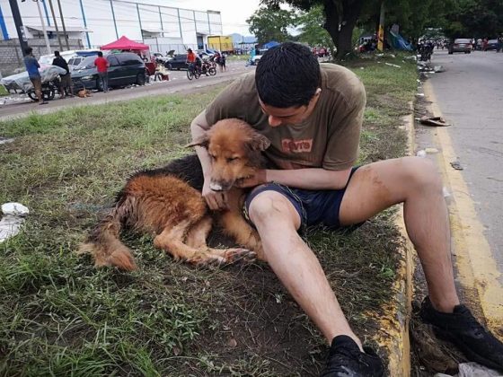 catracho moto acuática salva perrito