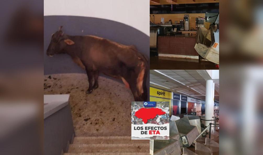 Aeropuerto Ramón Villeda Morales