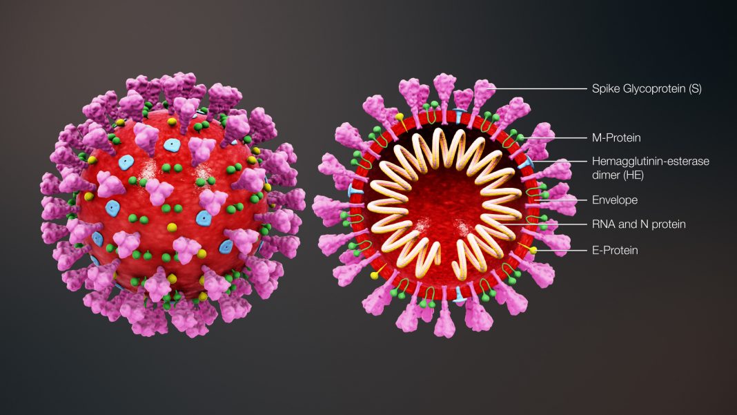 coronavirus