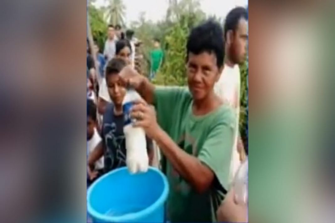 hondureña da comida y leche