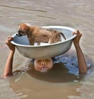 catracho moto acuática salva perrito