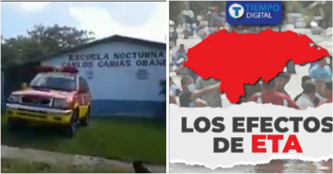 Eta abejas africanizadas