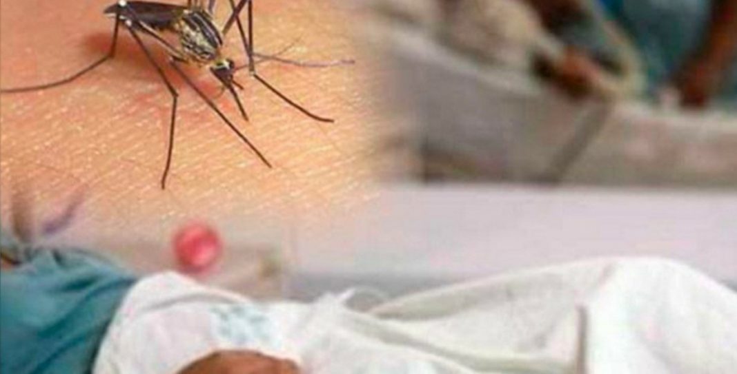 10 departamentos Honduras alerta por dengue