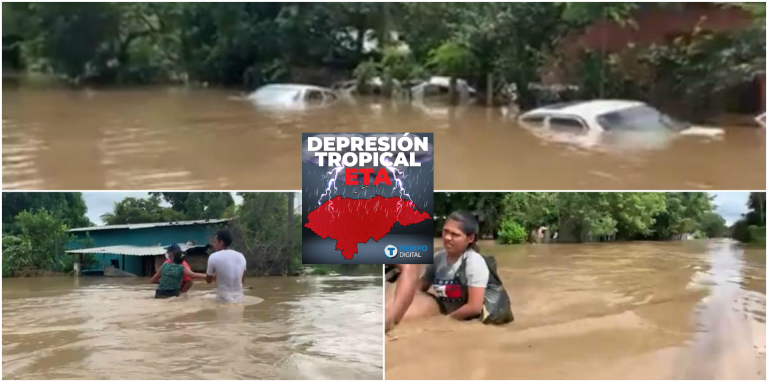 rescatistas