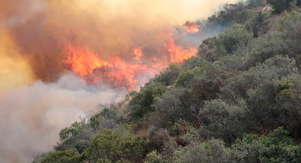 Campaña evitar incendios forestales