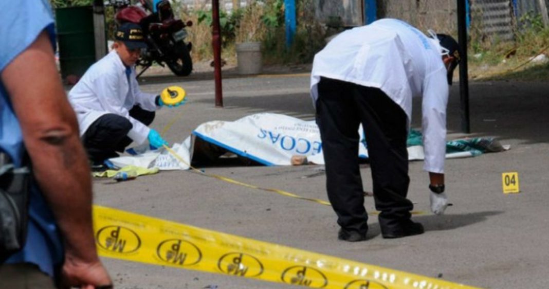 crimen organizado muertes violentas
