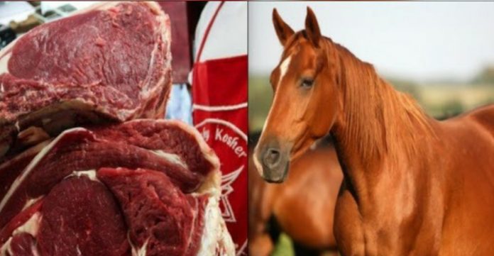carne de caballo carne de caballo