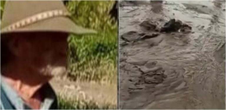 La Lima: hondureño queda atrapado en el lodo y muere aplastado por una máquina
