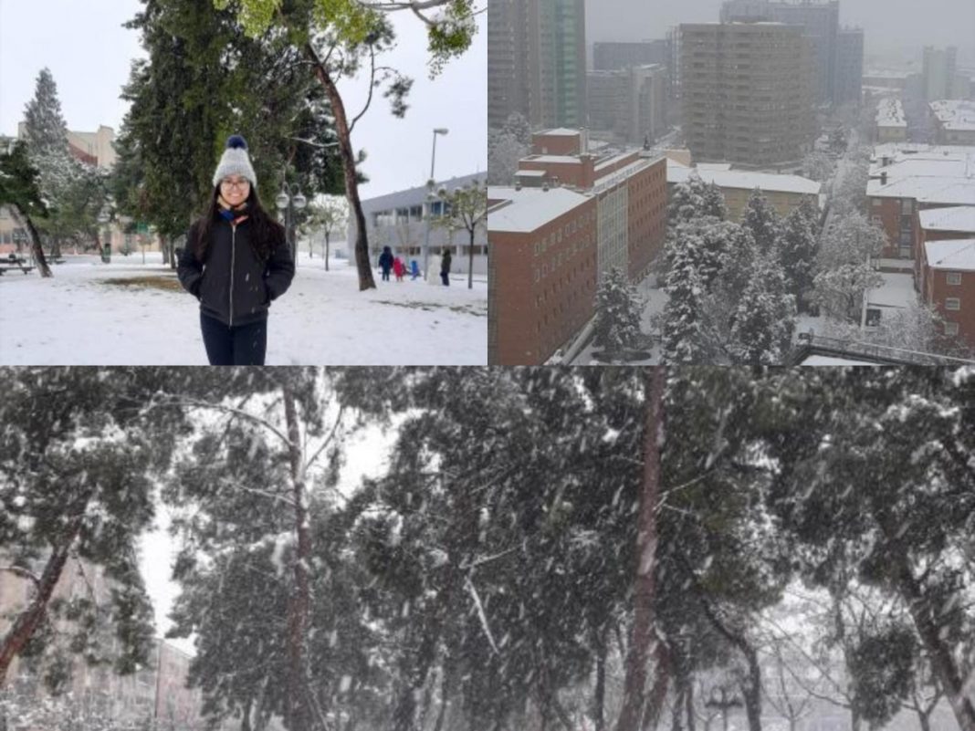 Hondureña España Nieve