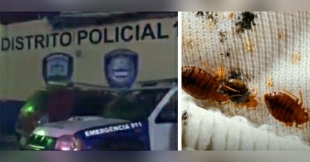 policías chinches postas de la capital