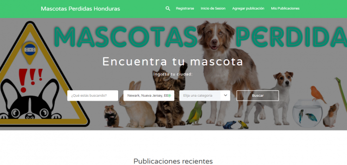 desarrollan plataforma perritos perdidos