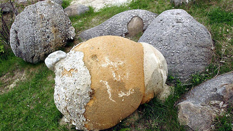 Piedras vivas