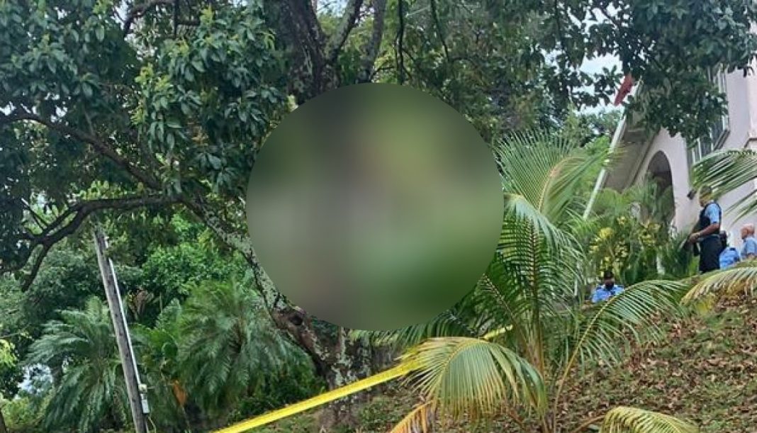 Suicidio Islas de la Bahía