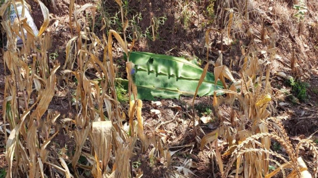 mujeres muertas en Copán