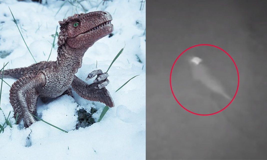 mujer ve dinosaurio en su casa