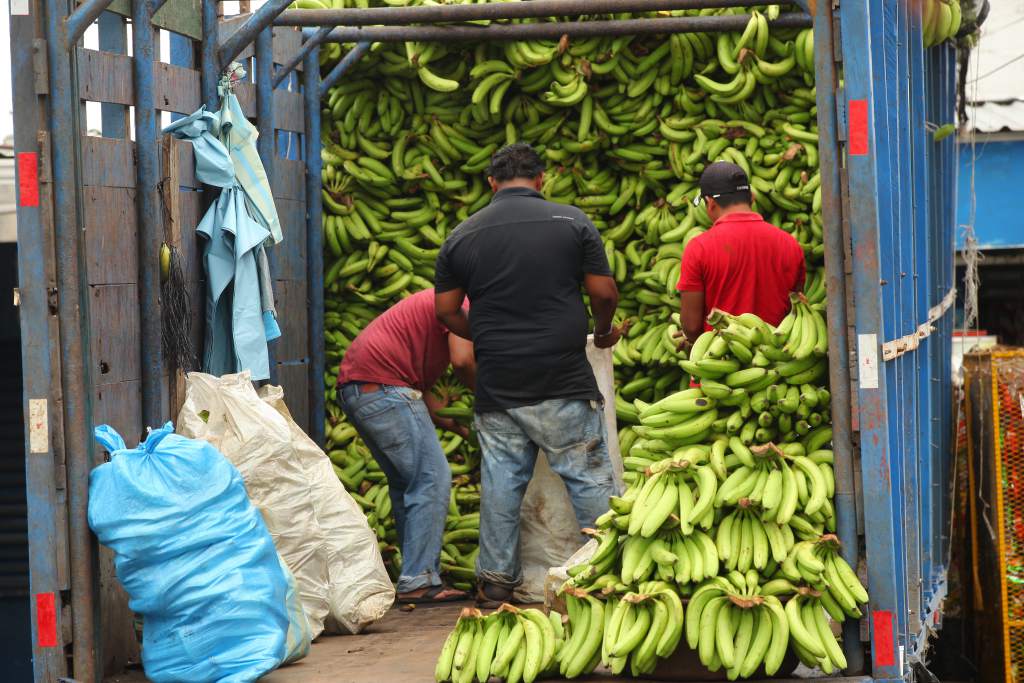 guineo verde aumento en su precio