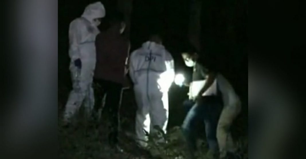 muere atacado por abejas en El Guanábano