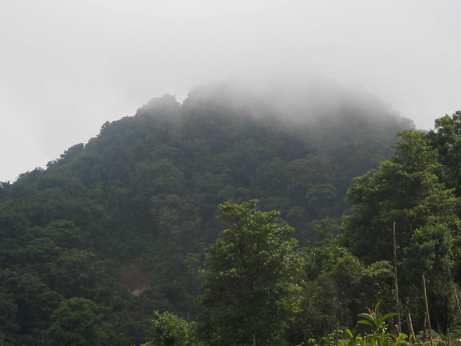 Cerro El Volcán, foto: Destino Turístico Güinope.