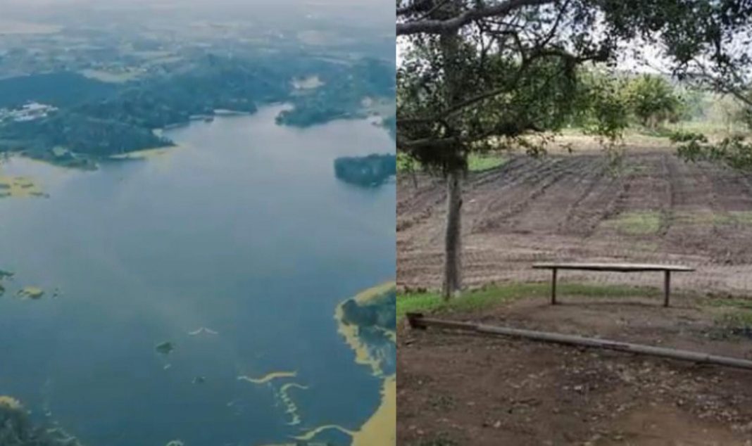 Laguna de Ticamaya se recupera