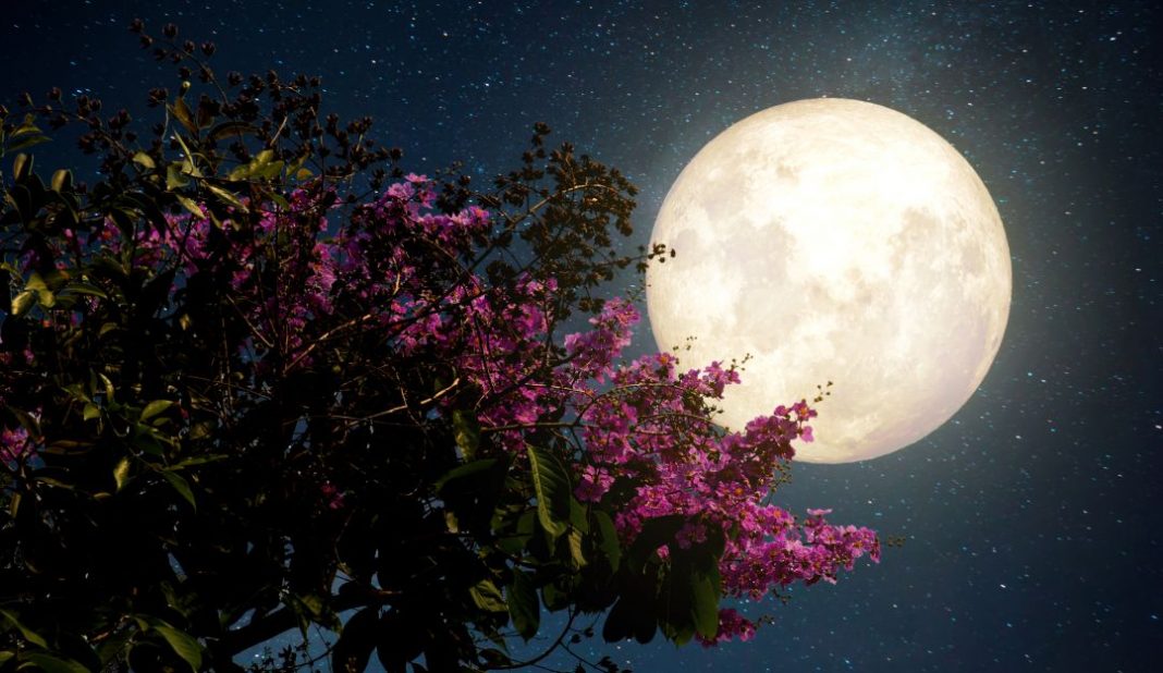 luna de sangre y super luna de las flores