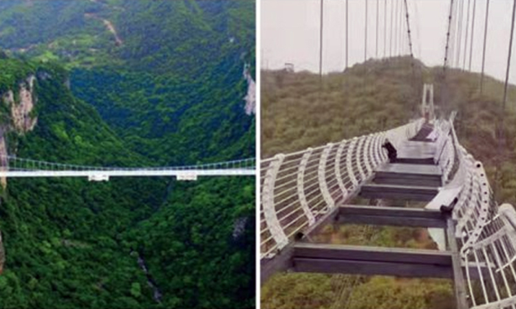 hombre queda colgando en puente de vidrio