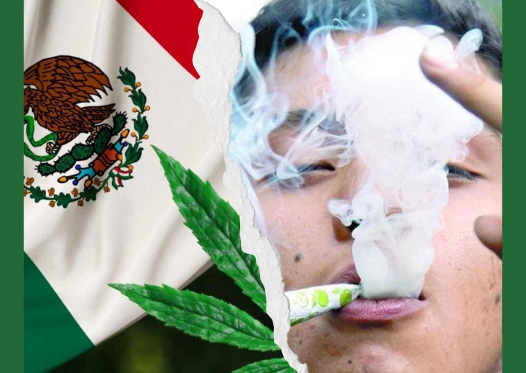 méxico uso de la marihuana