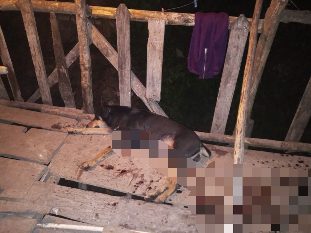 muertes en un día zona norte