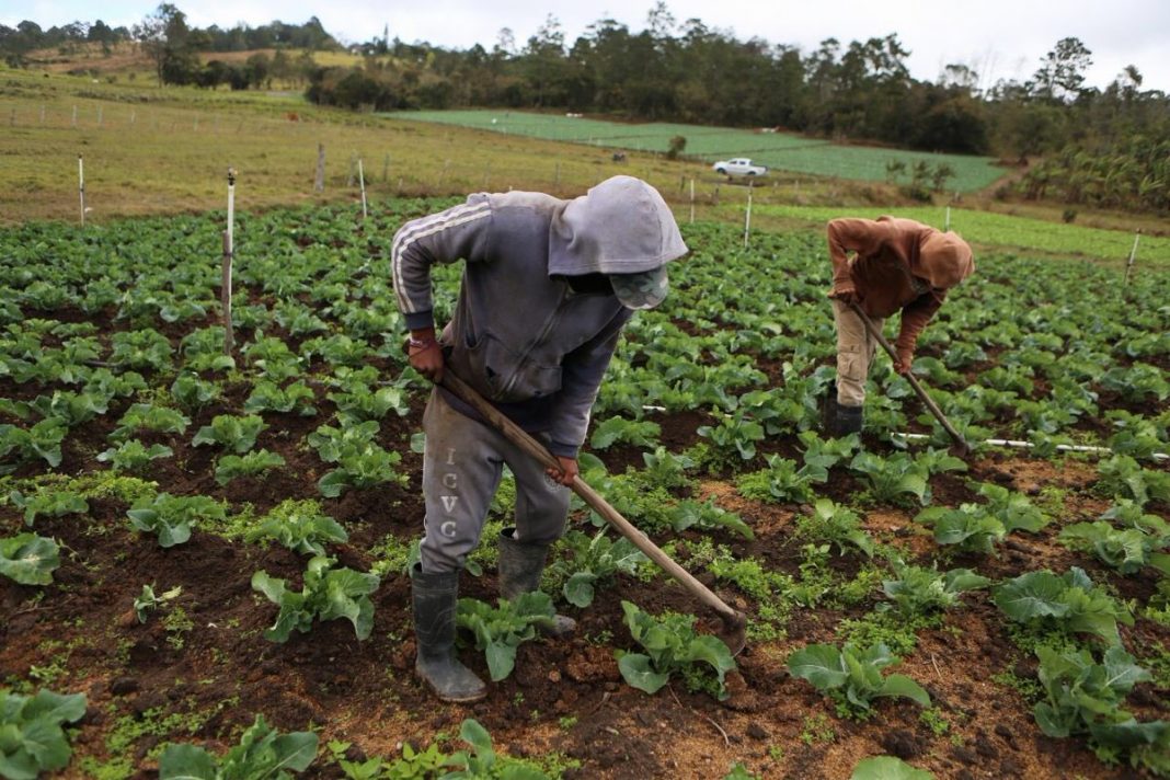 productores falta de lluvias