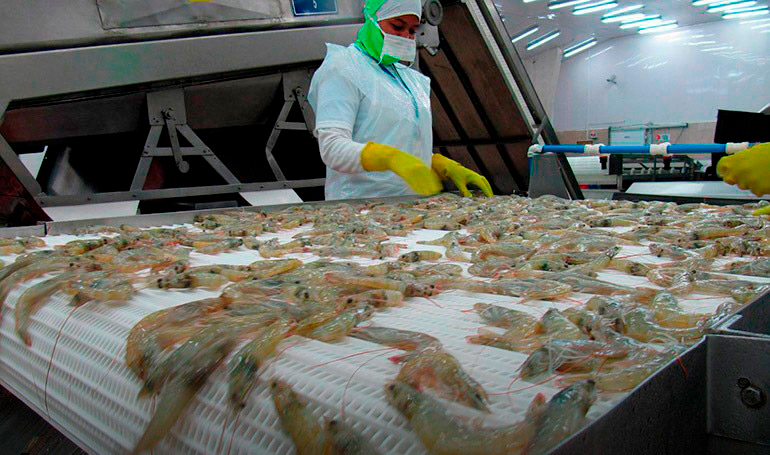 Ley de Fortalecimiento de la Camaricultura