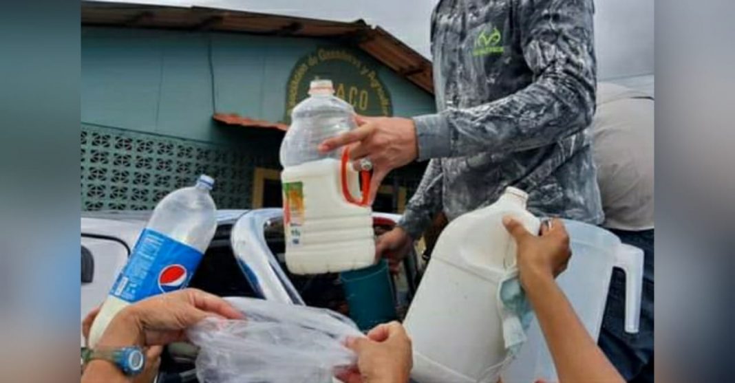 regalan leche en Olancho