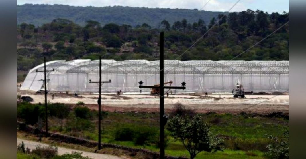 ZEDE en San Marcos de Colón