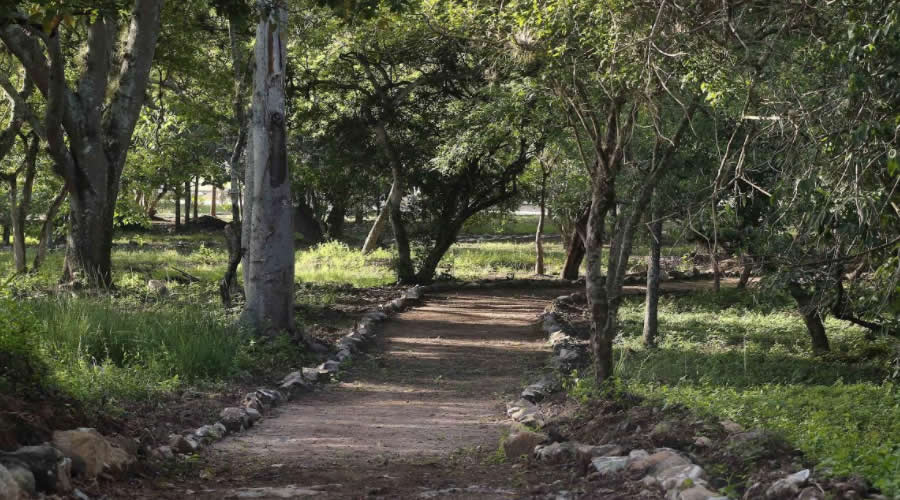 Campo de Parada Marte en la capital.