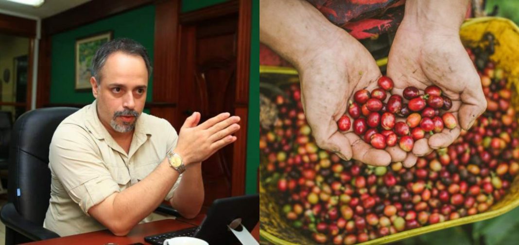Honduras exportación de café