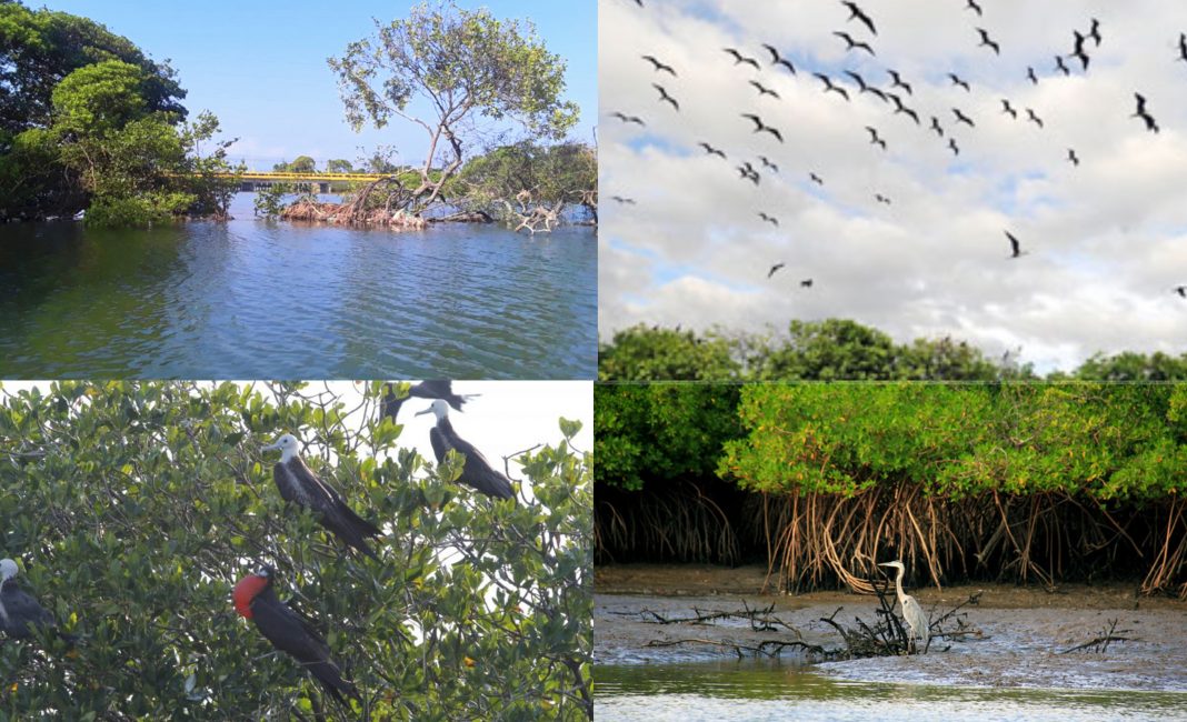 Isla de los Pájaros Honduras