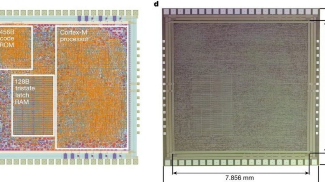 PlasticARM microchip flexible