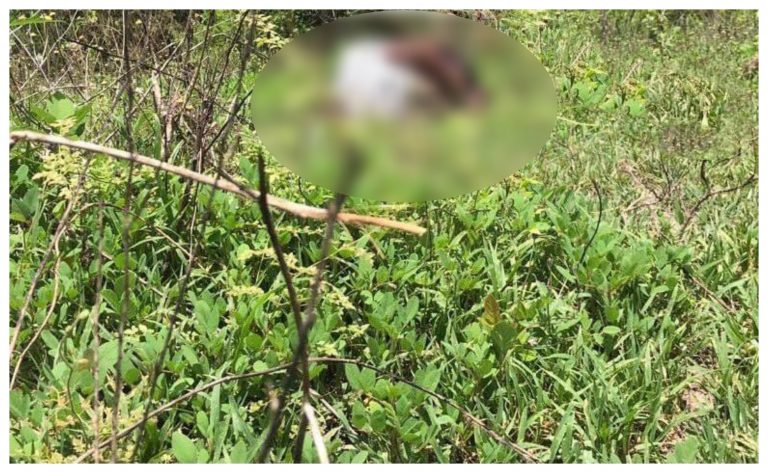 Encuentran cadáver en Choloma