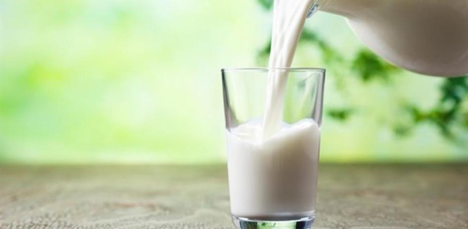 alimentos que causan alergias