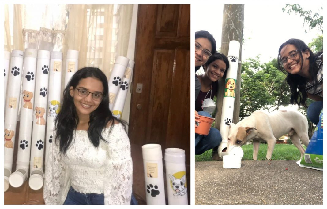 Dispensadores de comida para perros en Olanchito