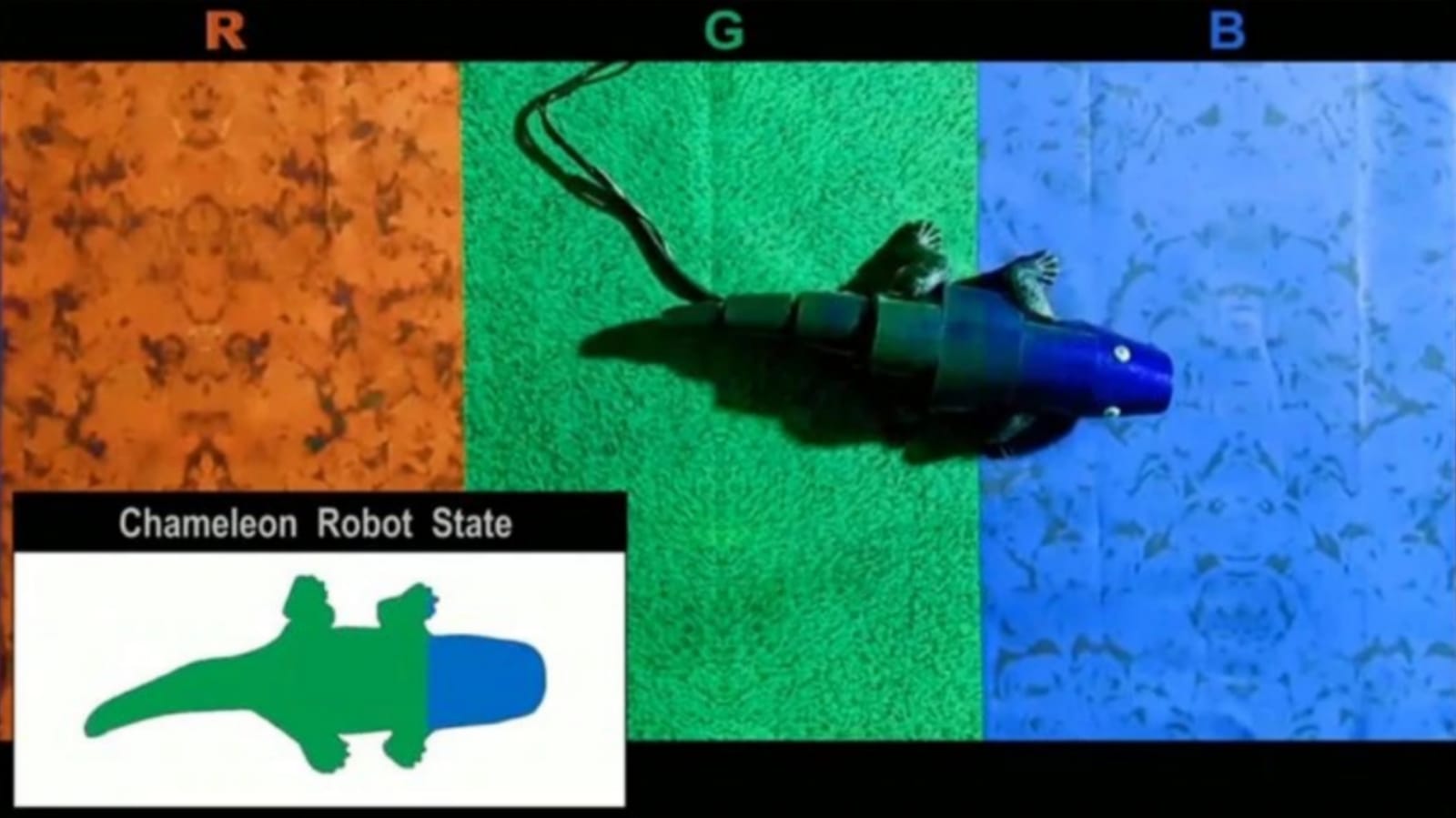 robot camaleón