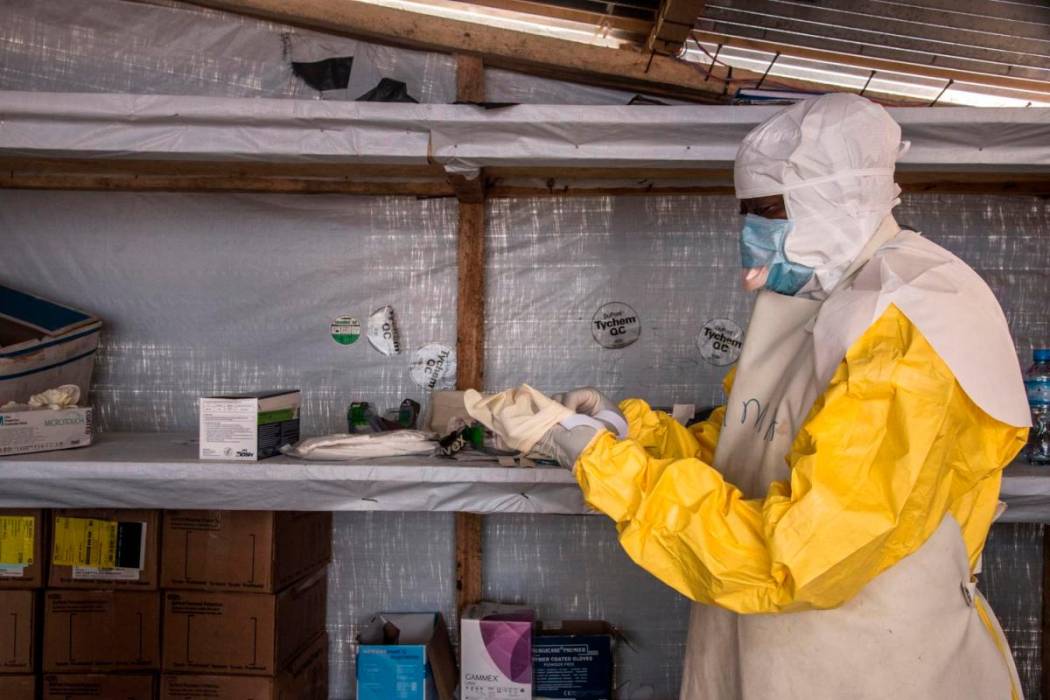 Detectan virus de Marburgo.