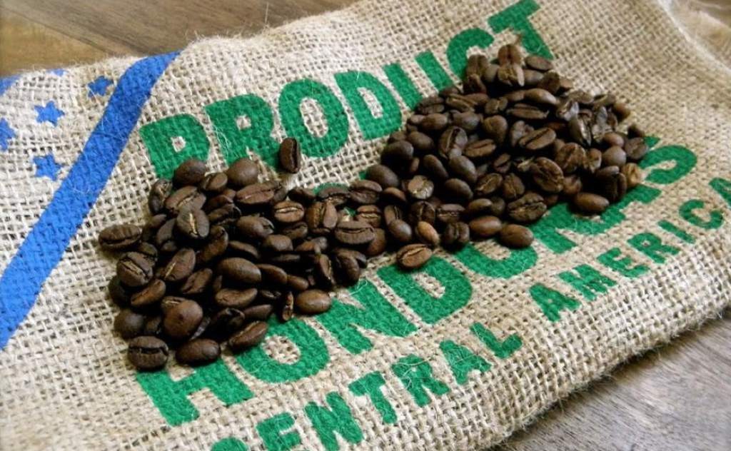 café de honduras subasta