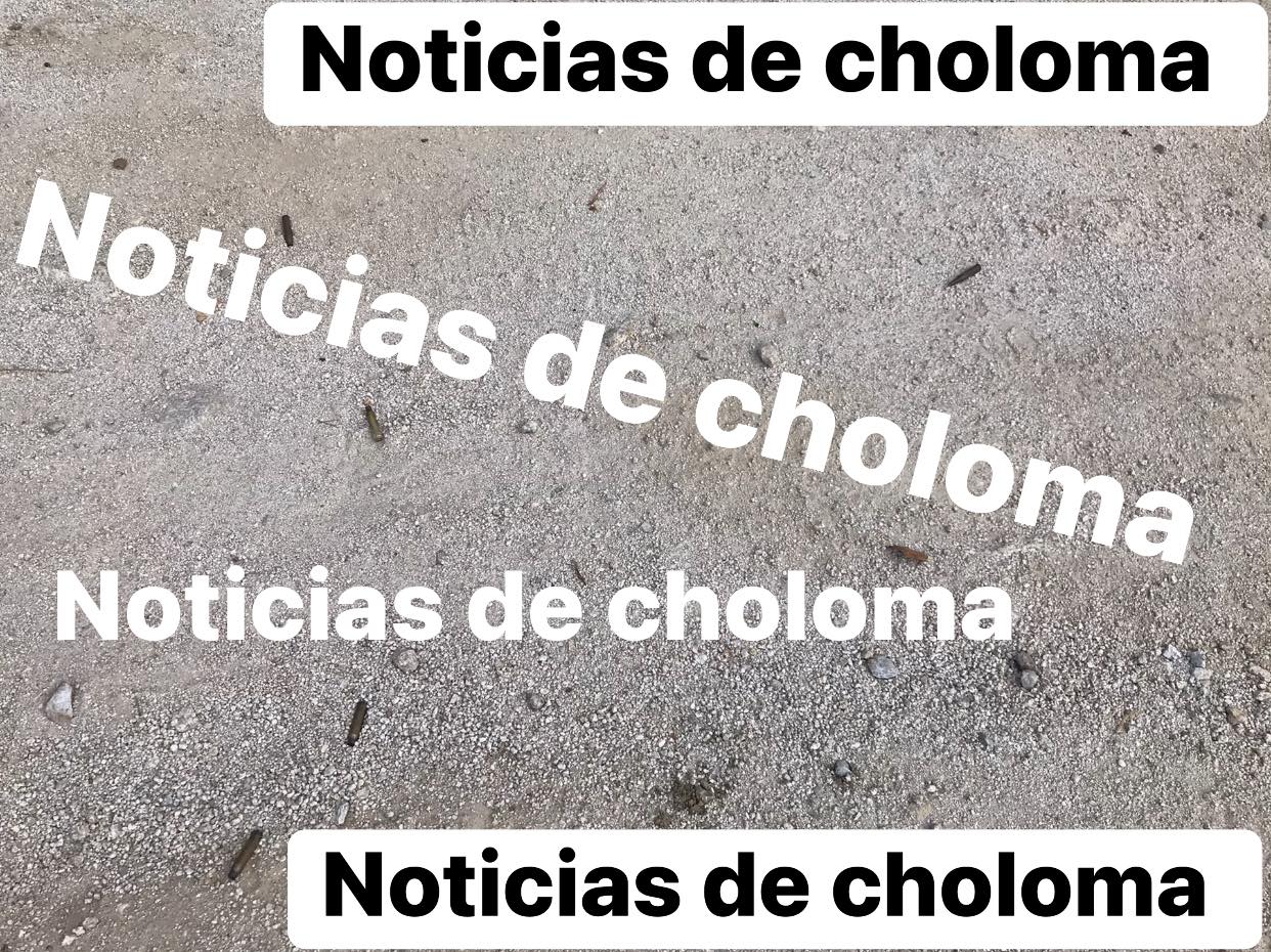 Foto cortesía de Bosques de Choloma. 