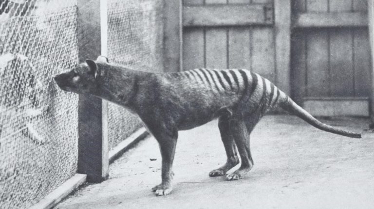 Un día en la Historia: esto aconteció un 07 de septiembre de…