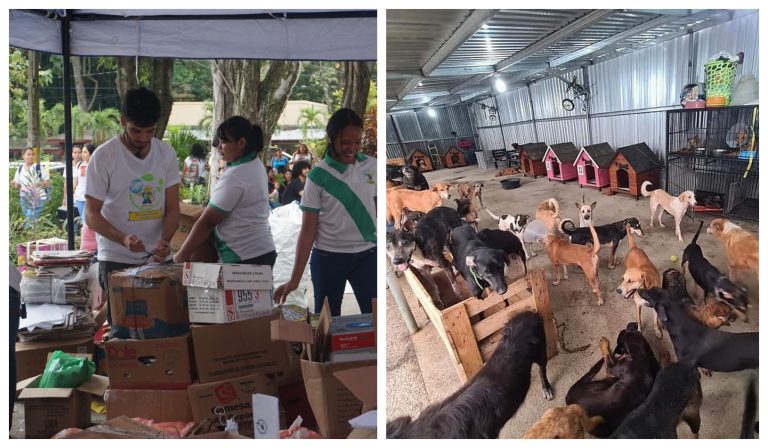 Apoyo para fundación Amor y Abrigo