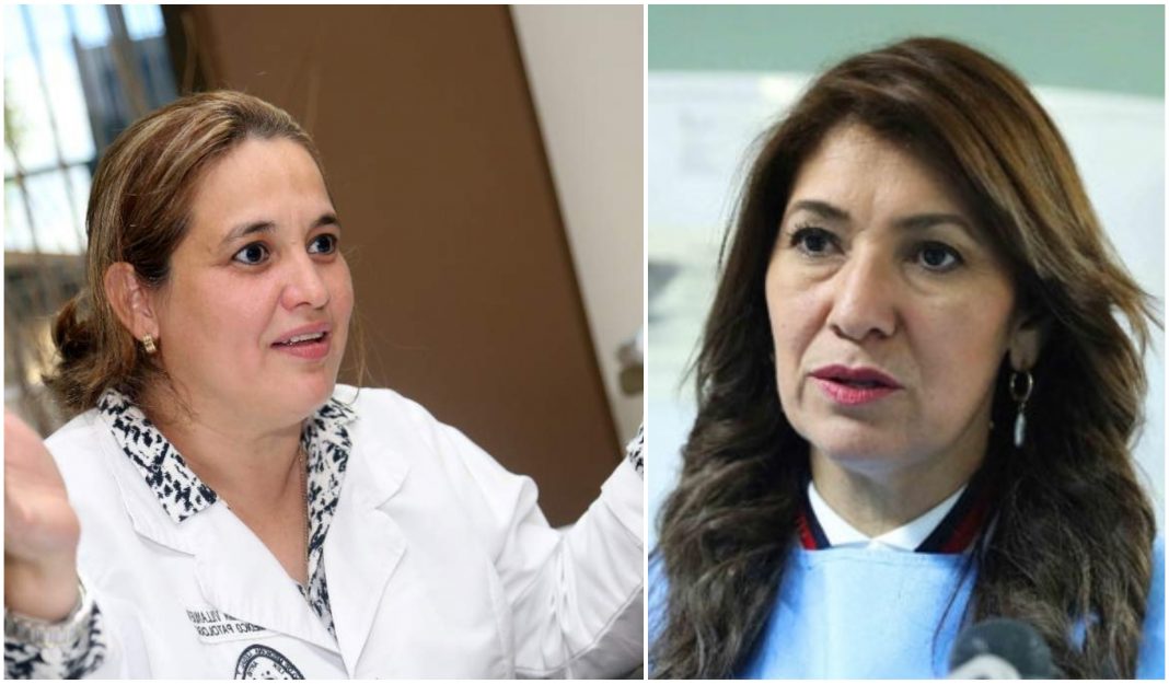 ministra de salud renuncia