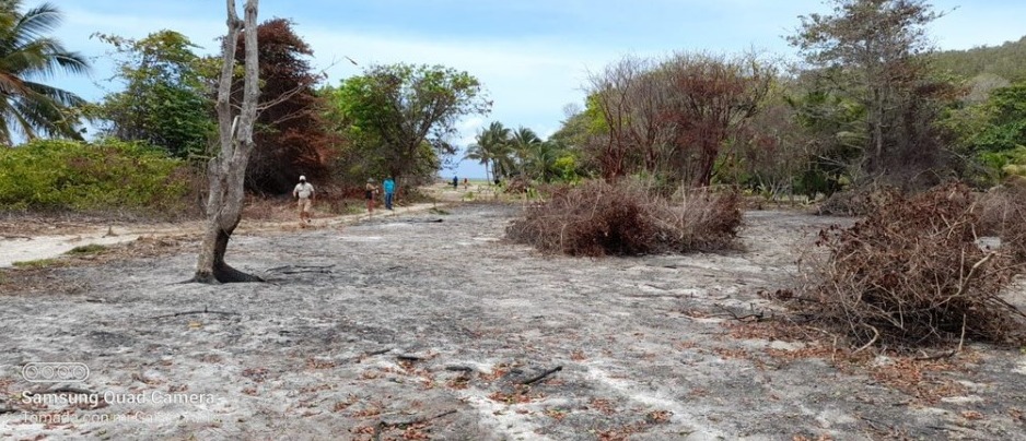 La quema de estas áreas protegidas es un delito ambiental que se paga con multas y hasta cárcel.