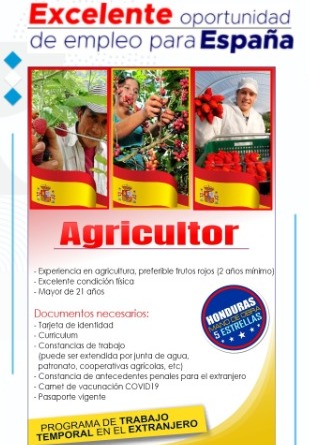 Requisitos que deben presentar los candidatos en el Programa de Trabajo Temporal en Extranjero, en España.