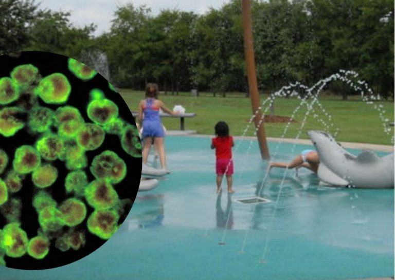 niño muere ameba comecerebros
