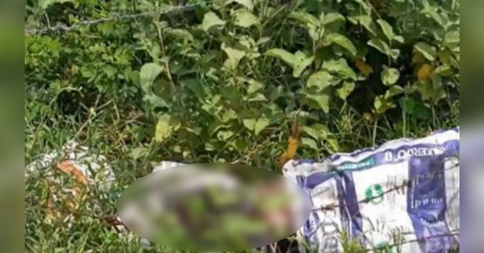 encostalado, Choluteca, cadáver encostalado en Marcovia, Encostalado hallan un cadáver en Marcovia